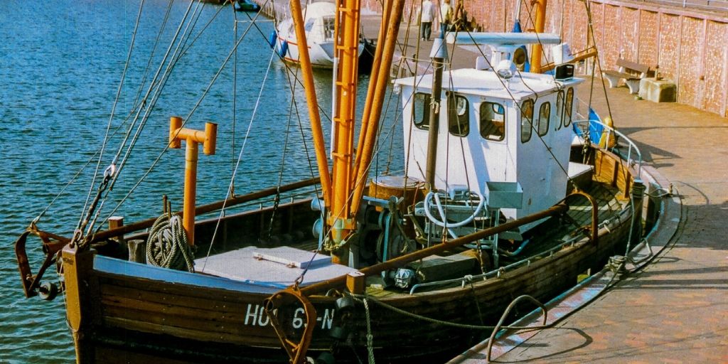 Image for everything you need to know about omega 3 blog