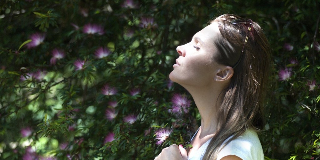 How to detox blog image