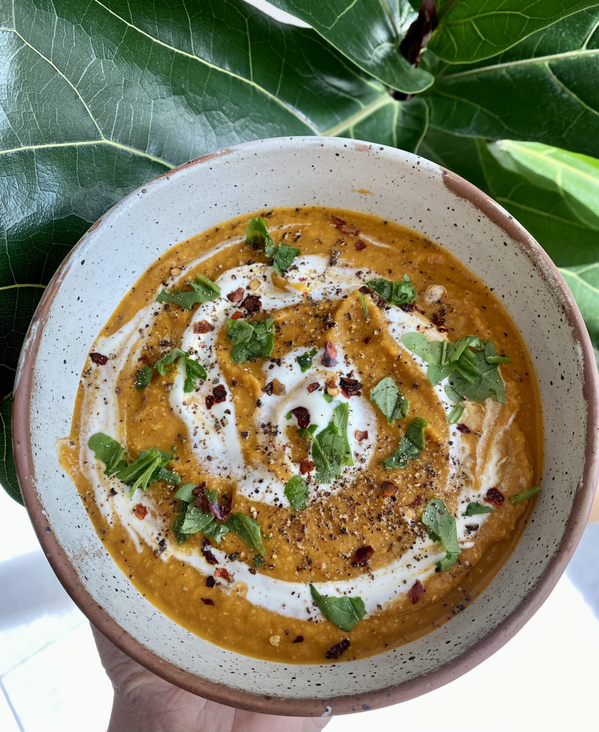 Carrot and Walnut Soup